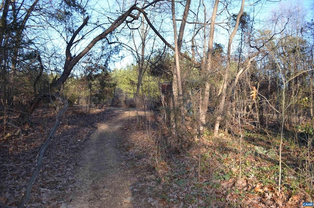 view of road featuring a forest view