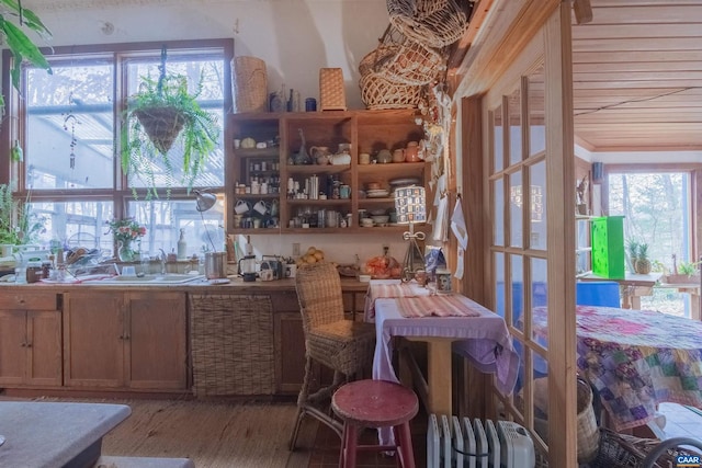 interior space featuring plenty of natural light and wood finished floors