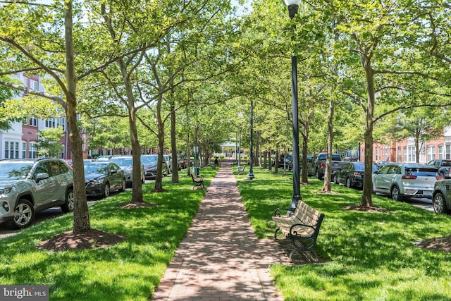 view of community with a yard