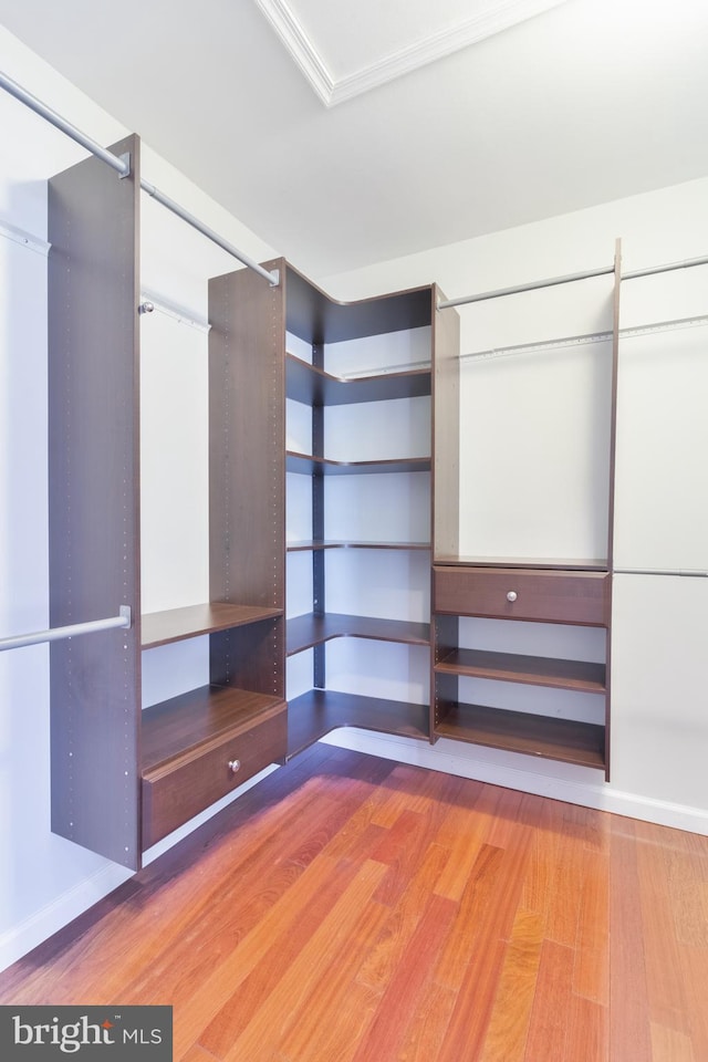 spacious closet with wood finished floors