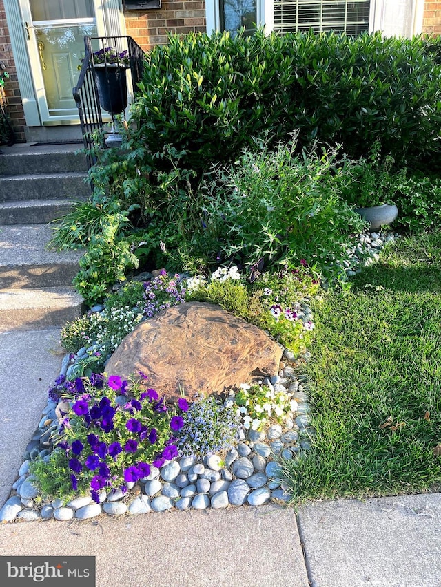 view of yard with entry steps