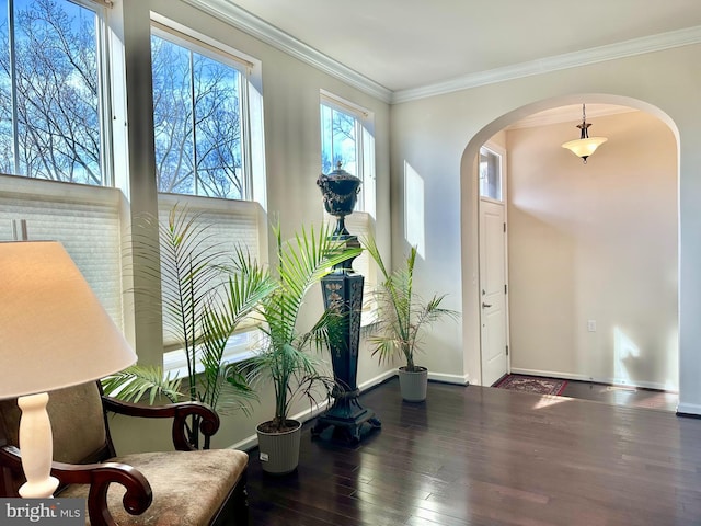 foyer with baseboards, crown molding, arched walkways, and dark wood-style flooring