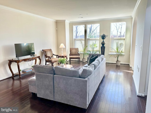 living area featuring dark wood-type flooring, ornamental molding, and baseboards