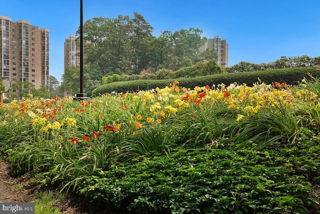 surrounding community with a view of city