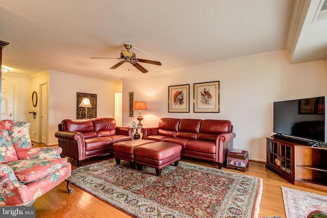 living area featuring a textured ceiling, ceiling fan, visible vents, light wood-style floors, and ornamental molding