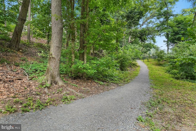 view of road