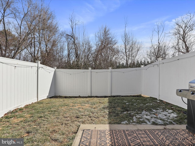 view of yard featuring a fenced backyard