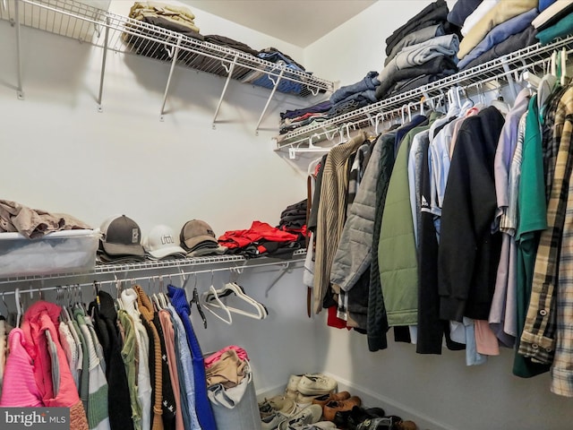 view of walk in closet