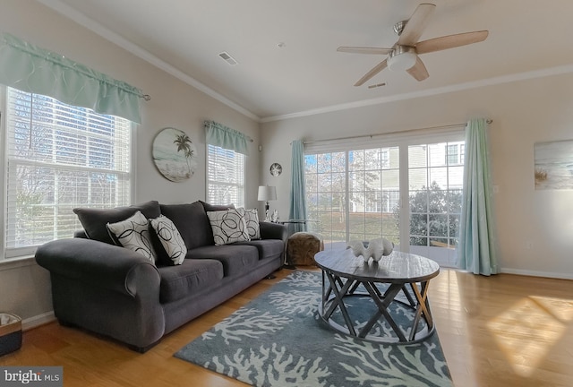 living area featuring ceiling fan, visible vents, baseboards, light wood-style floors, and crown molding