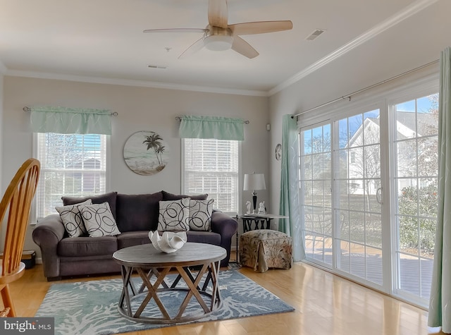 living area with light wood-style floors, a ceiling fan, visible vents, and crown molding