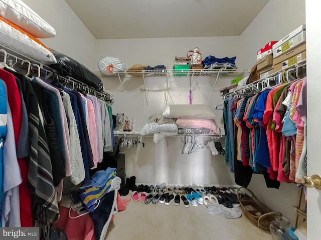 view of spacious closet