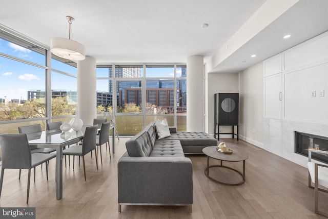 living area with a glass covered fireplace, a wall of windows, a city view, and wood finished floors