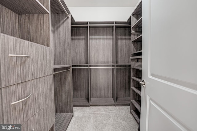 spacious closet with light carpet