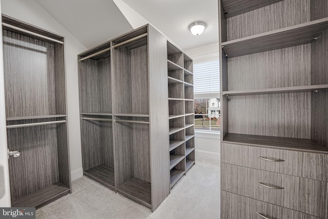 walk in closet featuring vaulted ceiling and light colored carpet