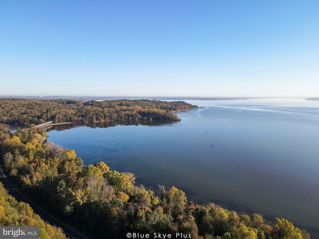 birds eye view of property featuring a water view and a wooded view