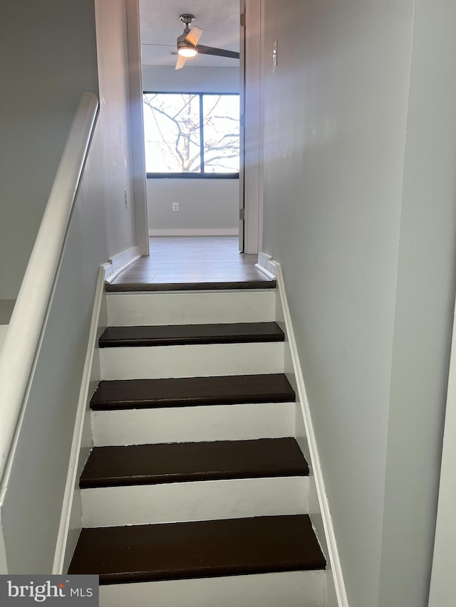 staircase featuring ceiling fan and baseboards