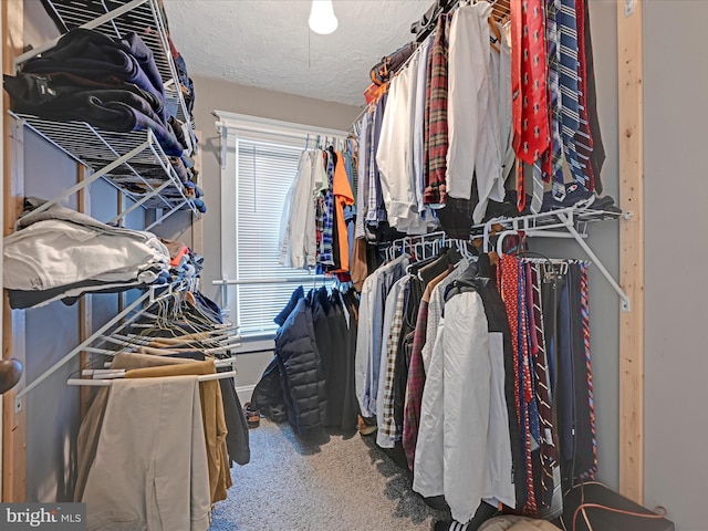 walk in closet with carpet floors