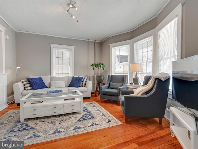 living room with light wood-type flooring and crown molding