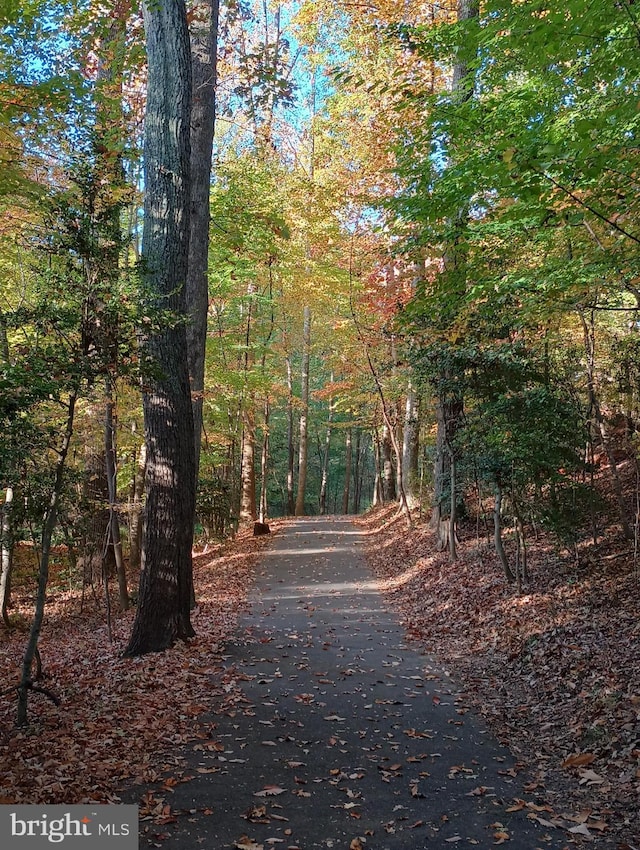 view of road