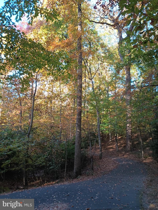 view of street with a forest view