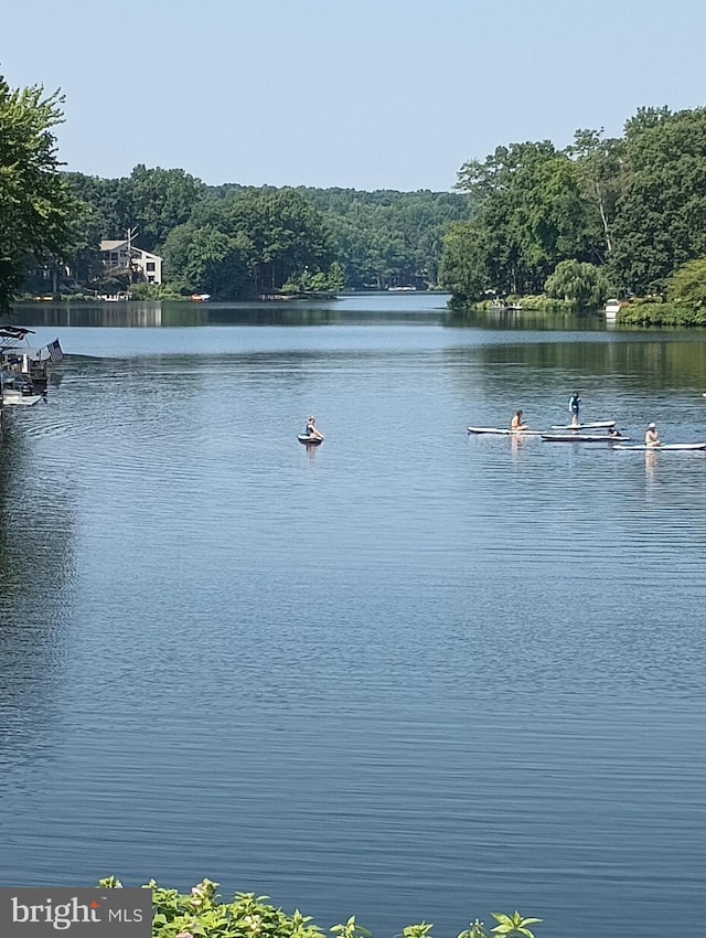 property view of water with a forest view