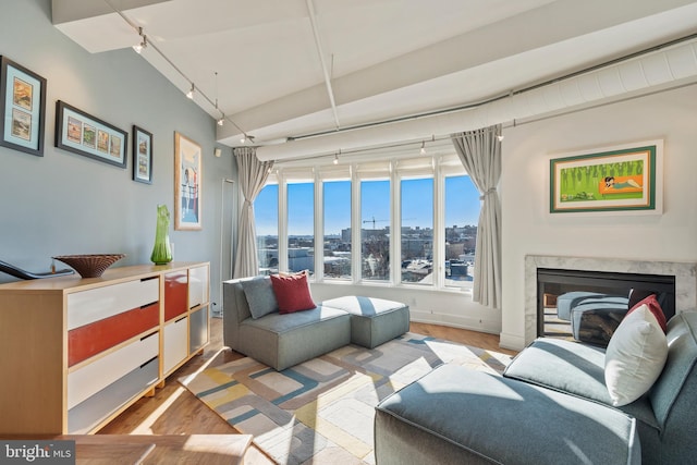 living room featuring rail lighting, light wood-style flooring, a fireplace, and a view of city