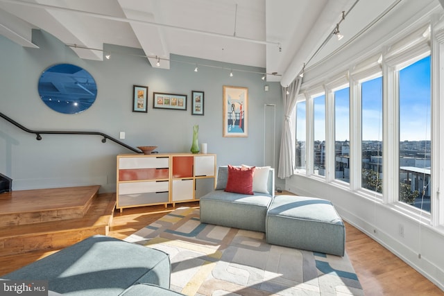 living area featuring a view of city, light wood-type flooring, baseboards, and track lighting