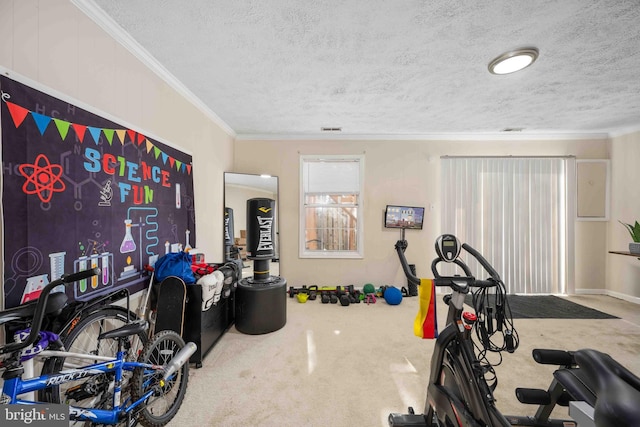 exercise area featuring carpet floors, ornamental molding, and a textured ceiling