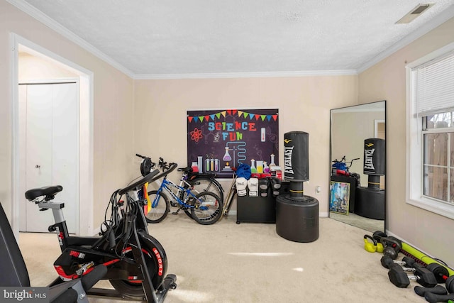 workout area featuring carpet floors, ornamental molding, and visible vents