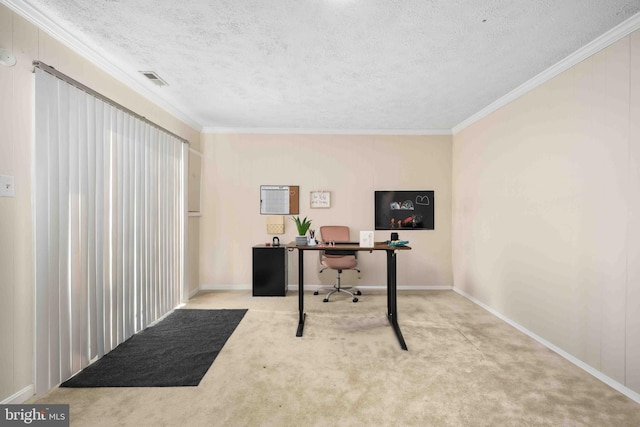 office space with carpet floors, crown molding, a textured ceiling, and baseboards