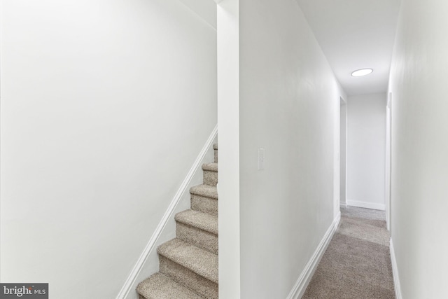 staircase featuring carpet flooring and baseboards