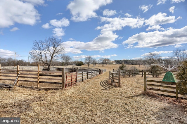 view of yard with a rural view