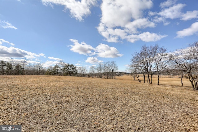 view of yard featuring a rural view