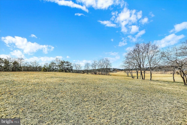 view of yard with a rural view