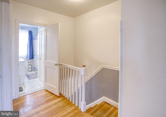 staircase featuring wood finished floors