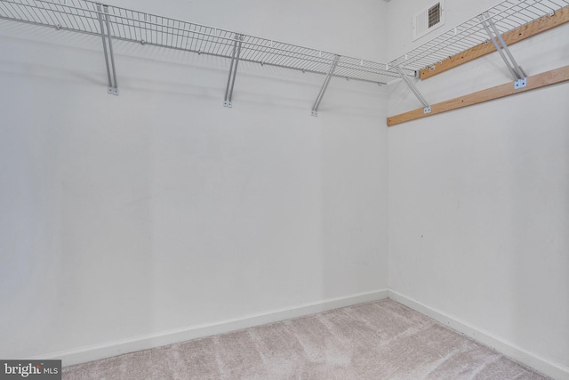 spacious closet featuring carpet floors and visible vents