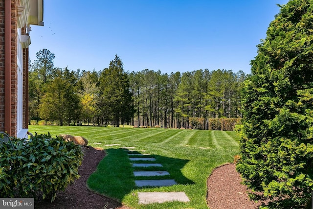 22577 Creighton Farms Dr, Leesburg, VA 20175 - view of yard
