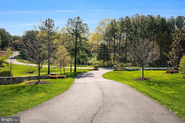 22577 Creighton Farms Dr, Leesburg, VA 20175 - surrounding community with a lawn