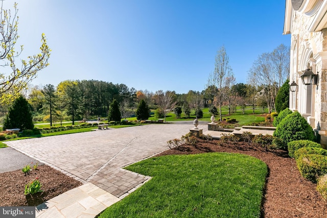 22577 Creighton Farms Dr, Leesburg, VA 20175 - surrounding community with a yard
