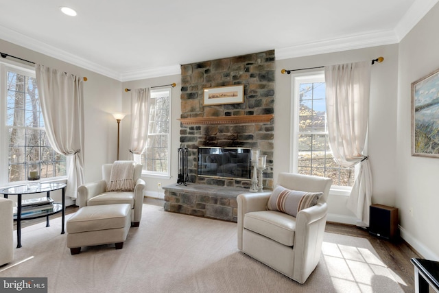 living room featuring a stone fireplace, ornamental molding, and baseboards