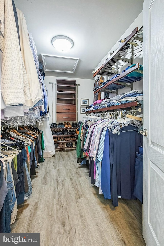 walk in closet featuring light wood finished floors and attic access