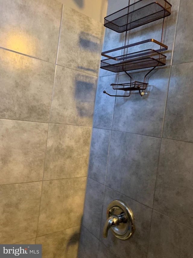 room details with tiled shower