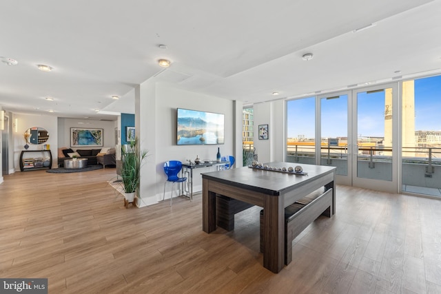 game room featuring french doors and wood finished floors