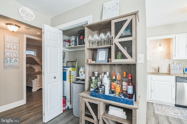 pantry featuring water heater and a sink