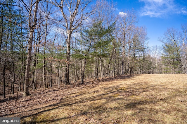 view of nature with a wooded view