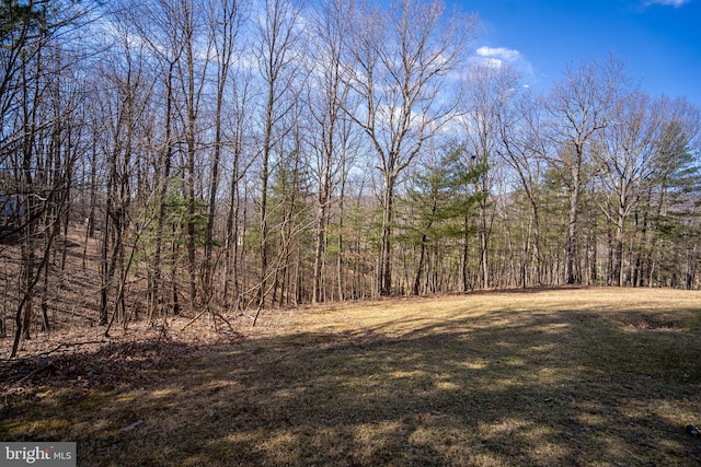 view of nature featuring a forest view