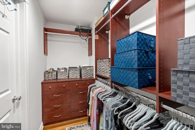 walk in closet with light wood-type flooring