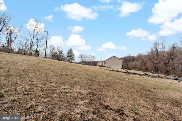 view of yard with a rural view