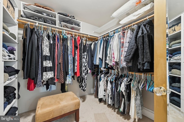 view of spacious closet