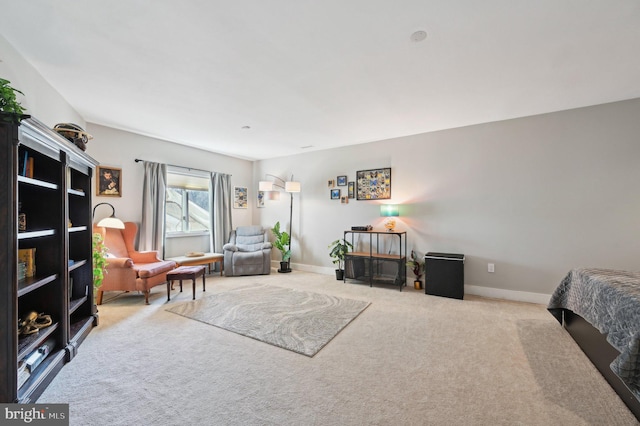 living area featuring baseboards and carpet floors